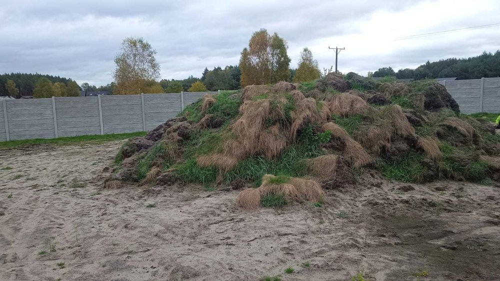 oddam ziemię z darnią za darmo