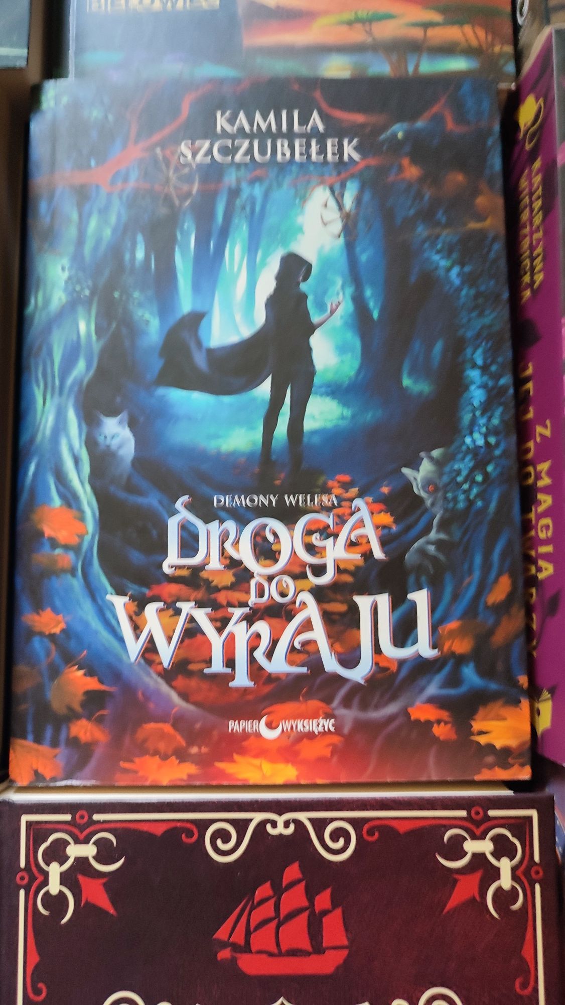 Zestaw 13 książek fantasy Smocze Kryształy Luienna Gołoborze Gideon