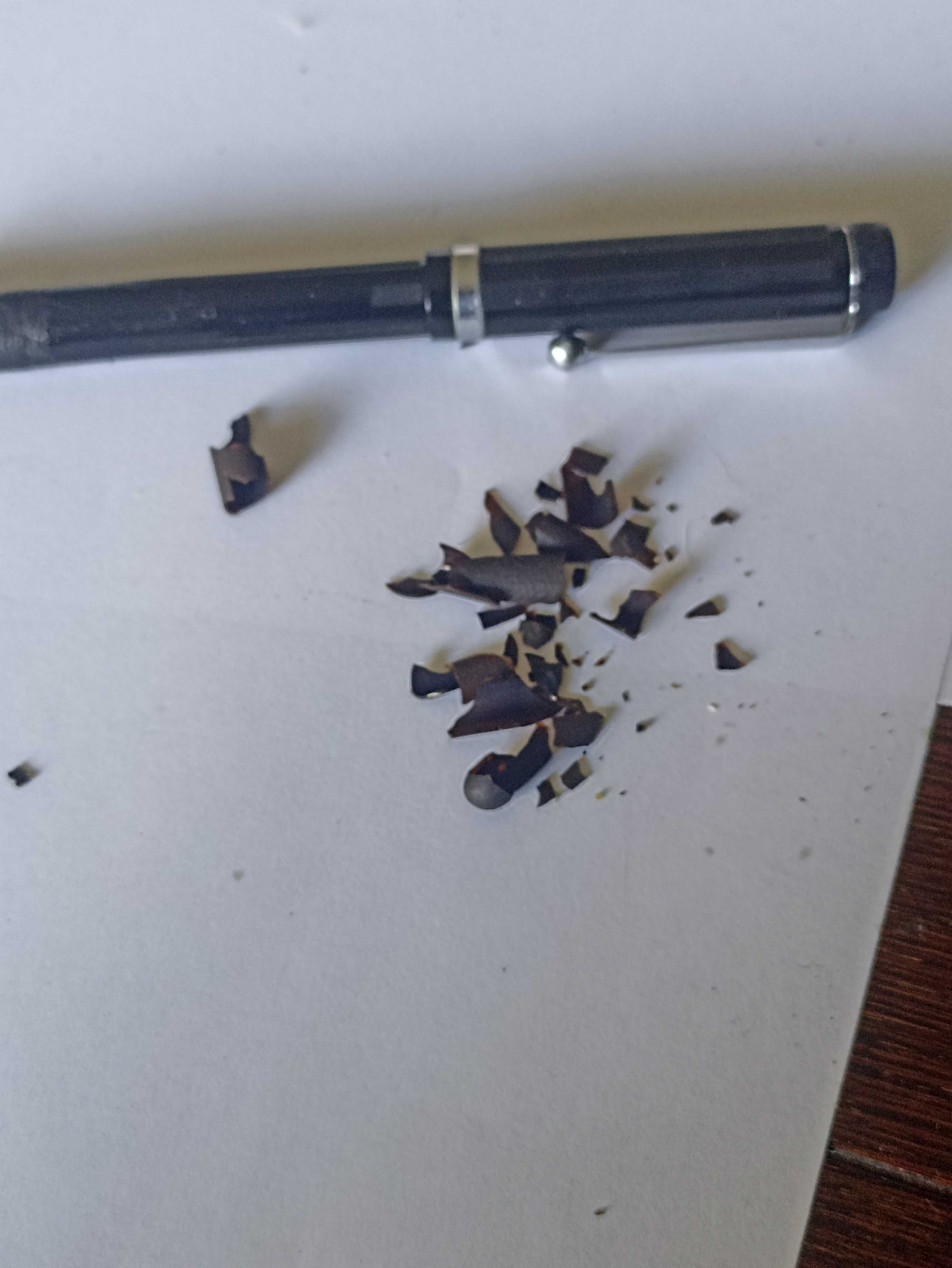 Stare, pióro angielskie, sygnowane PLATIGNUM
