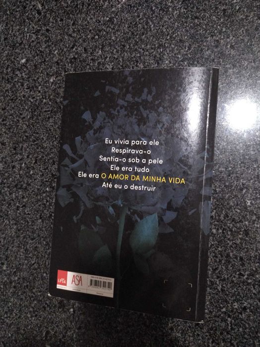 O amor da minha vida
