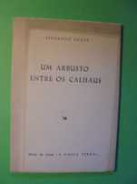 Grade (Fernando);Um Arbusto entre os Calhaus
