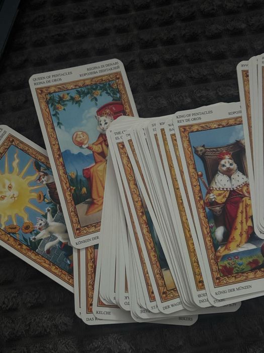 таро, таро з котиками