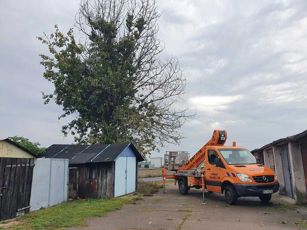 Wycinka drzew frezowanie pni podnośnik koszowy 22m zwyżka rębak