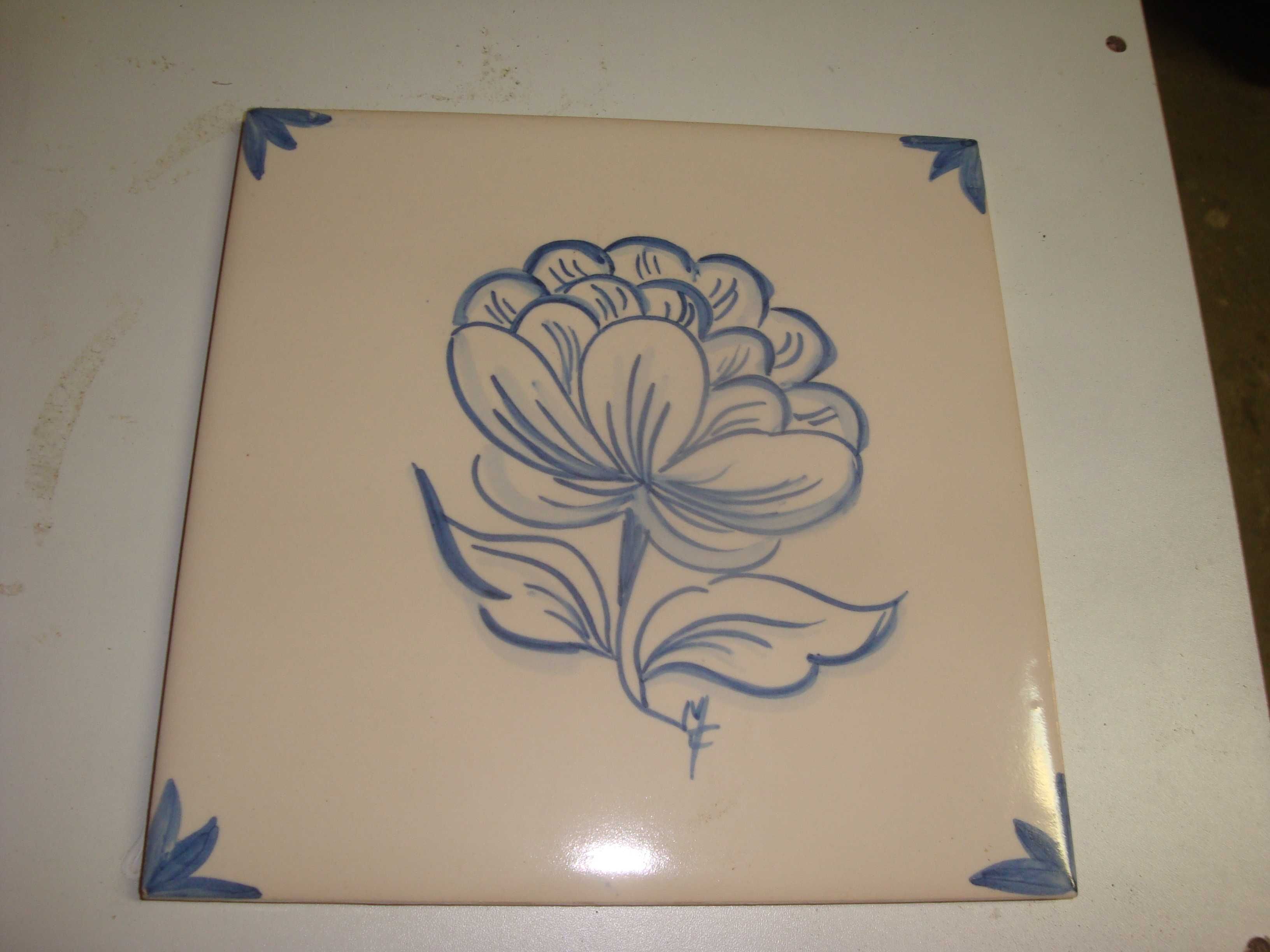 azulejos decorativos