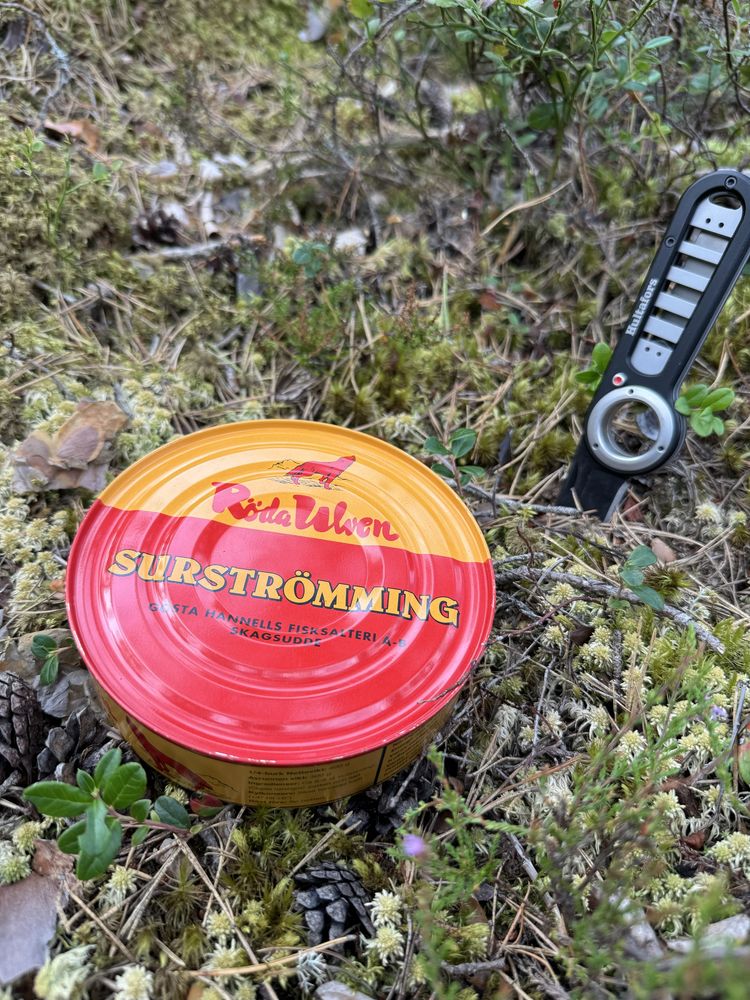 surströmming, сюрстрёмминг, сюрстрьомінг