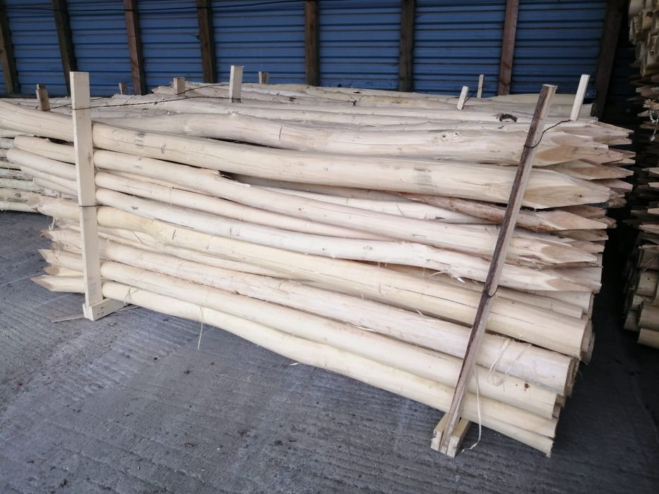 Akacja korowana 10/12 x250cm pale kołki słupy