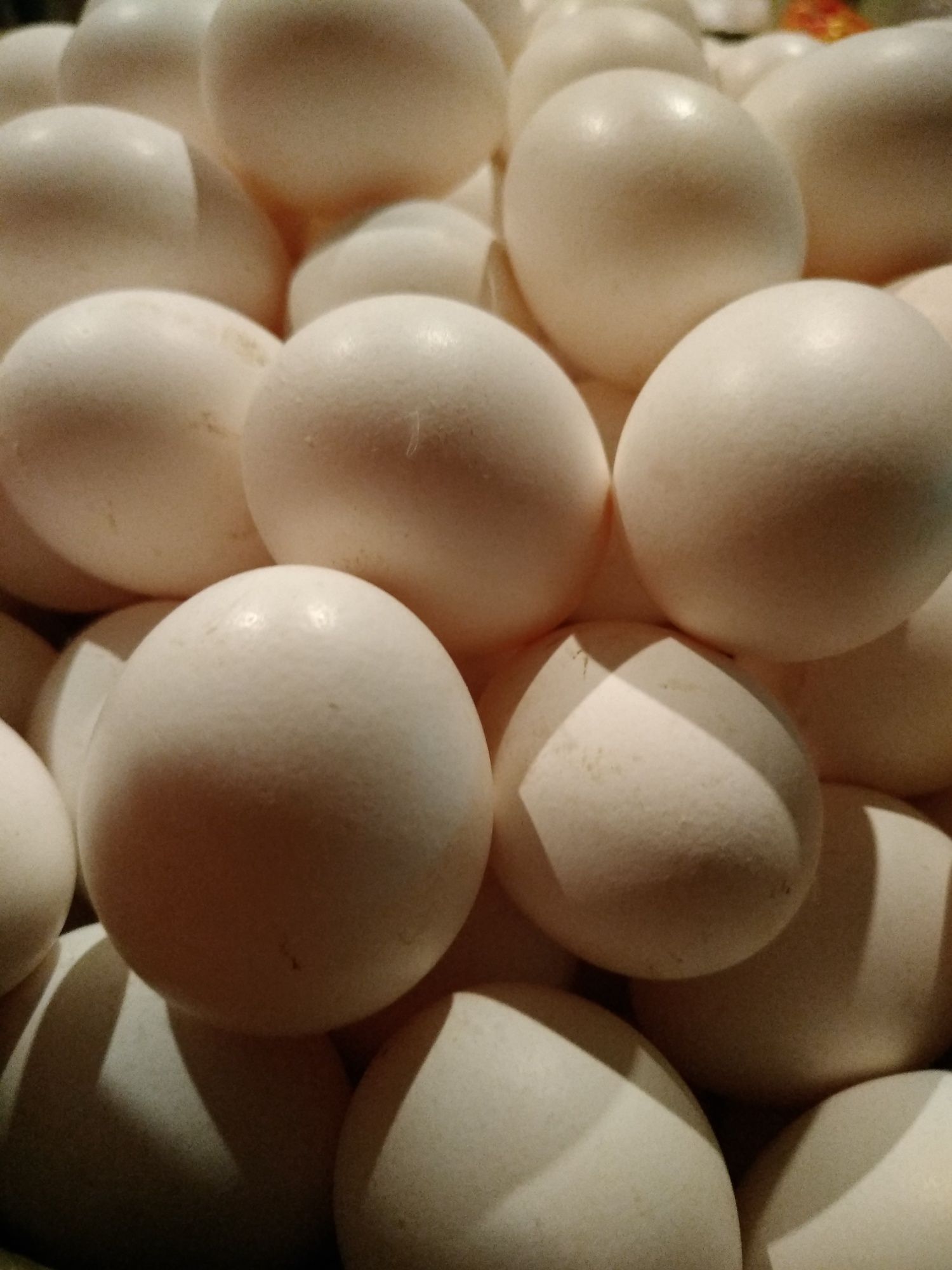 Курочки несушки и домашнее яйцо в продаже