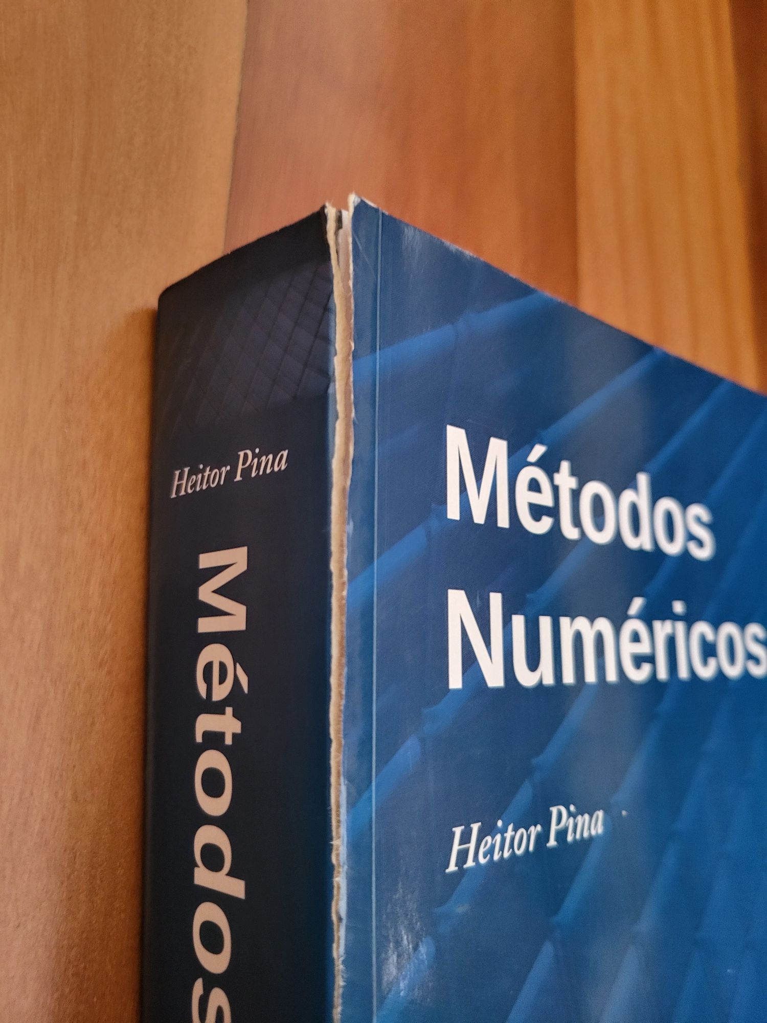 Livro | "Métodos Numéricos", de Heitor Pina
