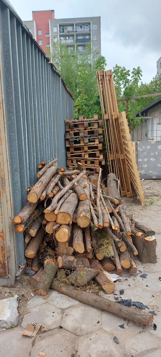 Drewno na opał Tuja palety.