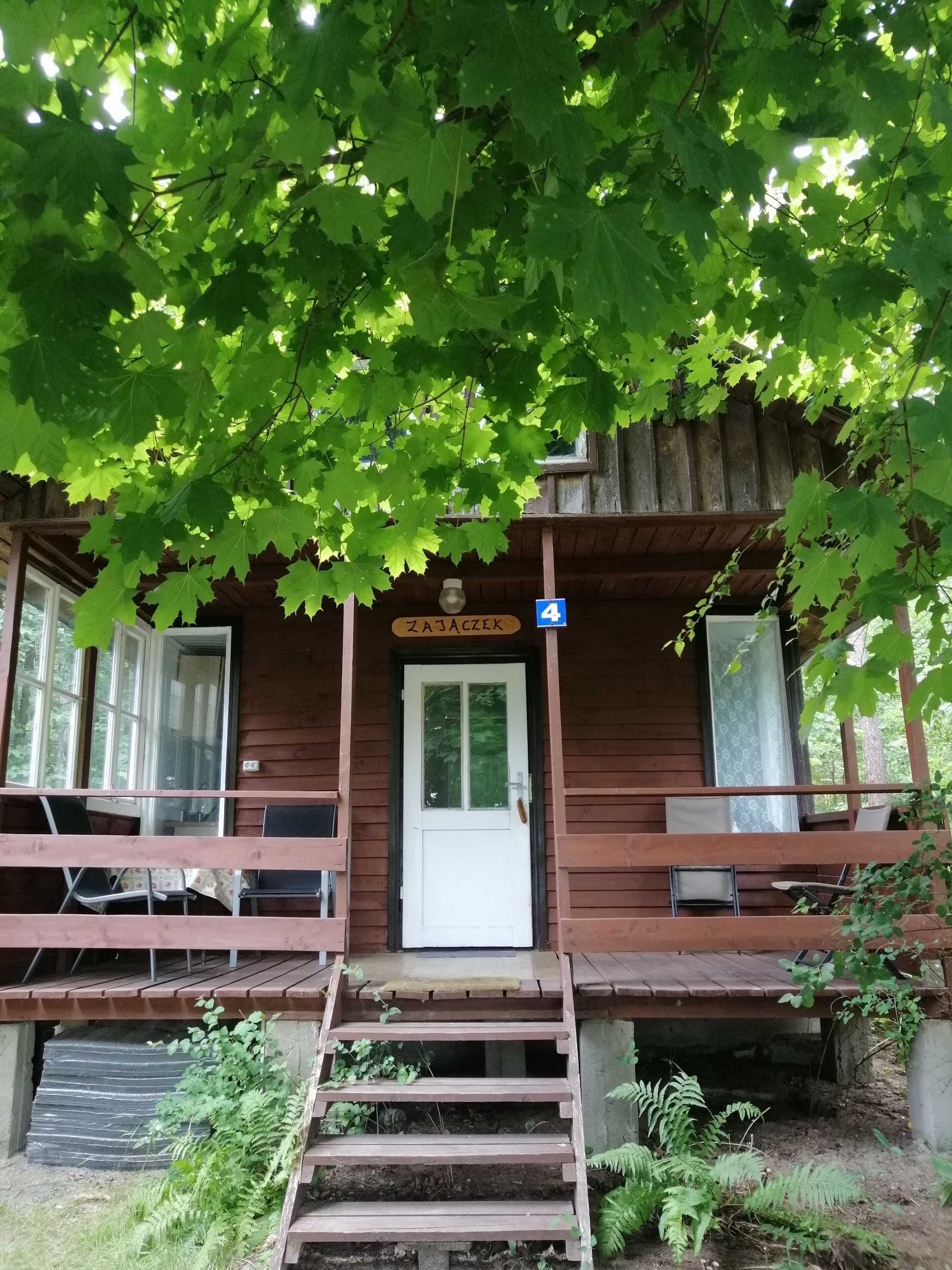 Domek Zajączek na Mazurach nad jeziorem Sasek Wielki nocleg, pokoje