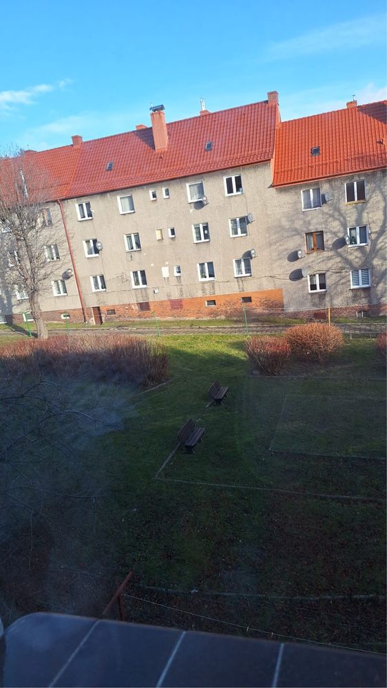 Pokoju do wynajecia