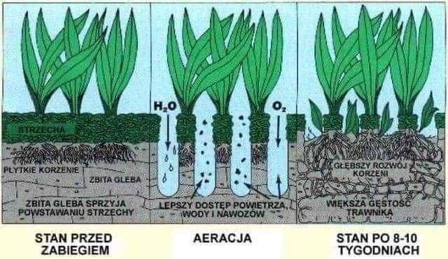 Aerator rurkowy Weibang WB457AB wypożyczalnia Z DOSTAWĄ