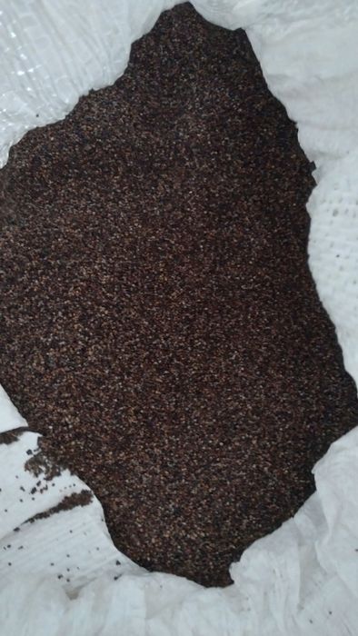 Nasiona tymianku zbiór 2025r.