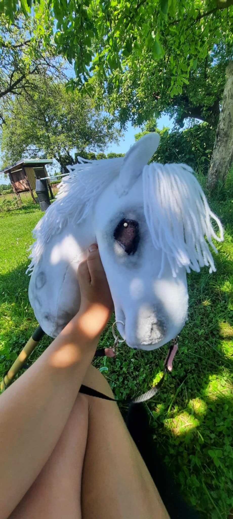 Hobby horse popuralne