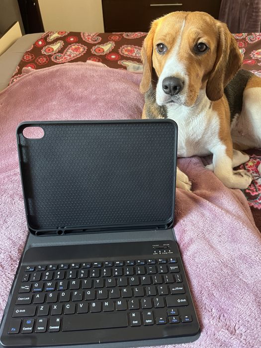 Чохол на ipad(10 Gen) 10.9”2022