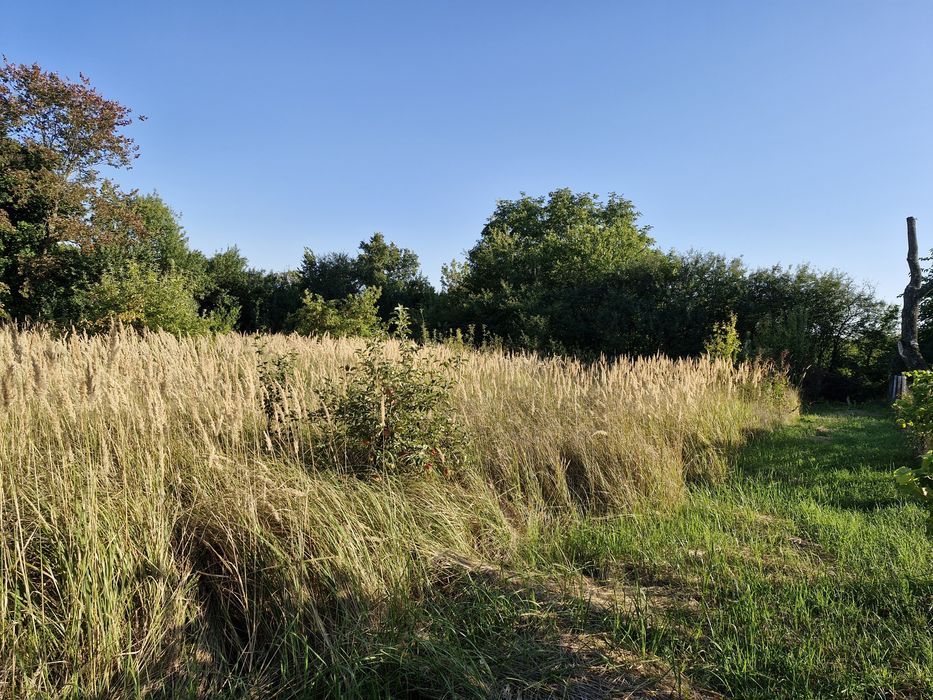 Маєток в історичному центрі Седніва