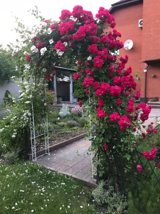 Продам розкішний будинок в центрі міста.