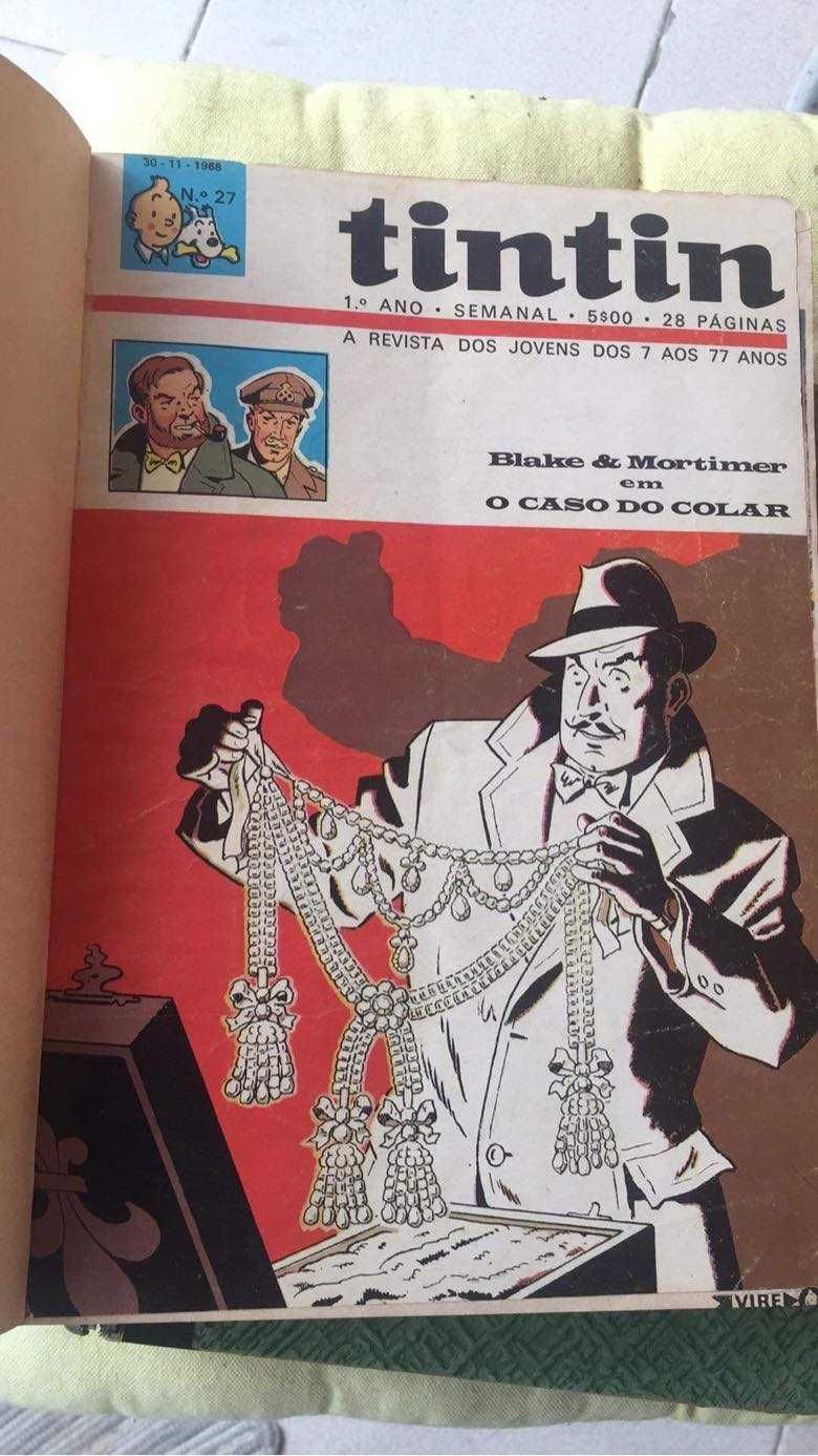 revista tintin 1º ano