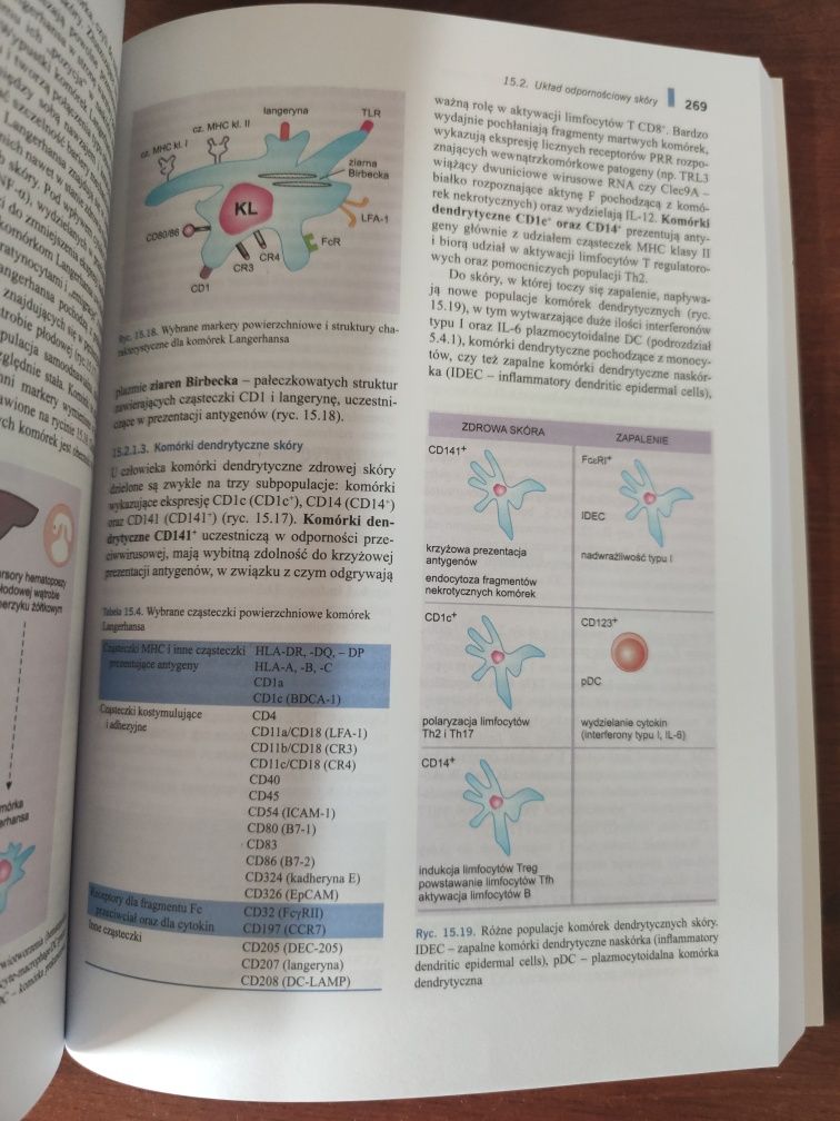 Immunologia Gołąb nowe wydanie