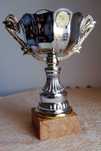 Taça para torneio de bilhar/snooker