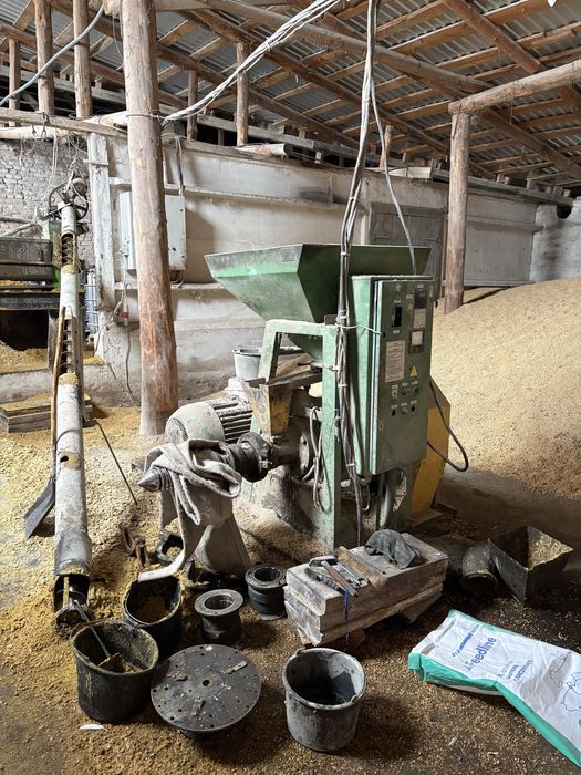 Діючий бізнес. Діюча комплексна свиноферма