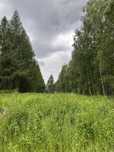 Skopów Pogórze Dynowskie 5,5 ha