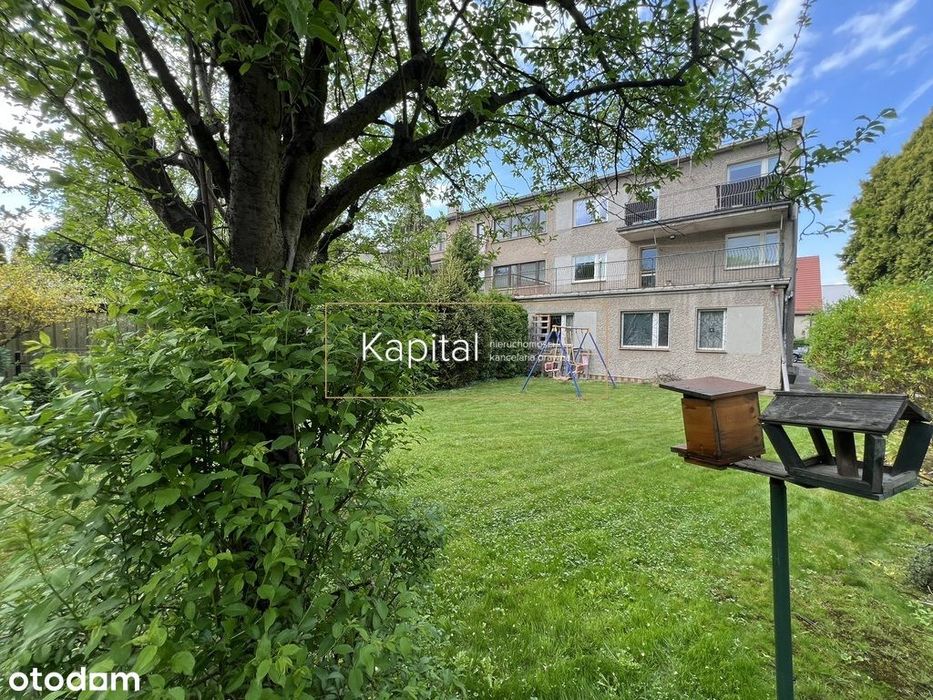 Biskupin, Dom dla rodziny, Firmy, Noclegi