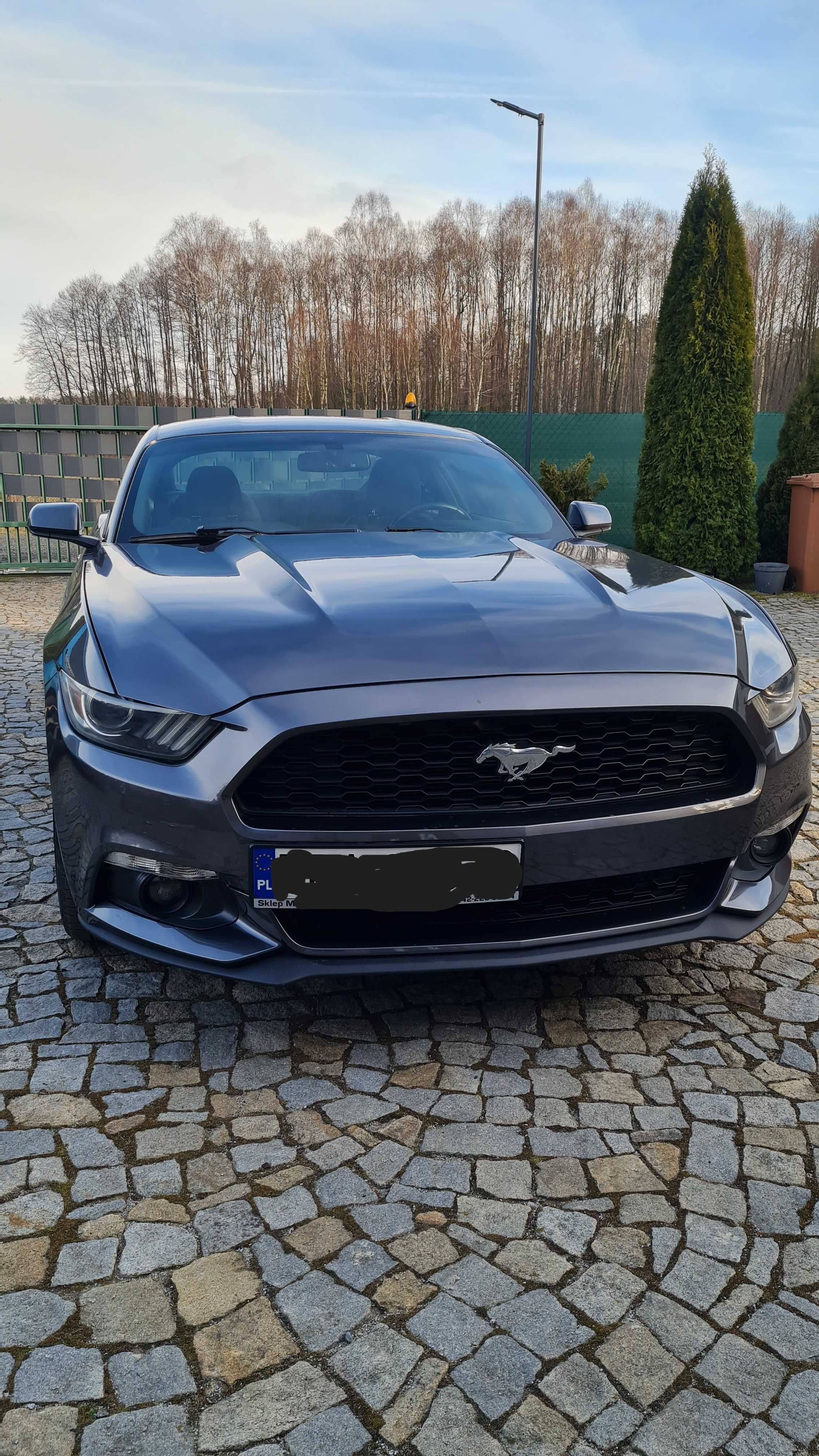 Ford Mustang 3,7 V6 2016r