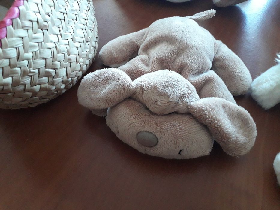 Vários peluches - cães, gato e lua