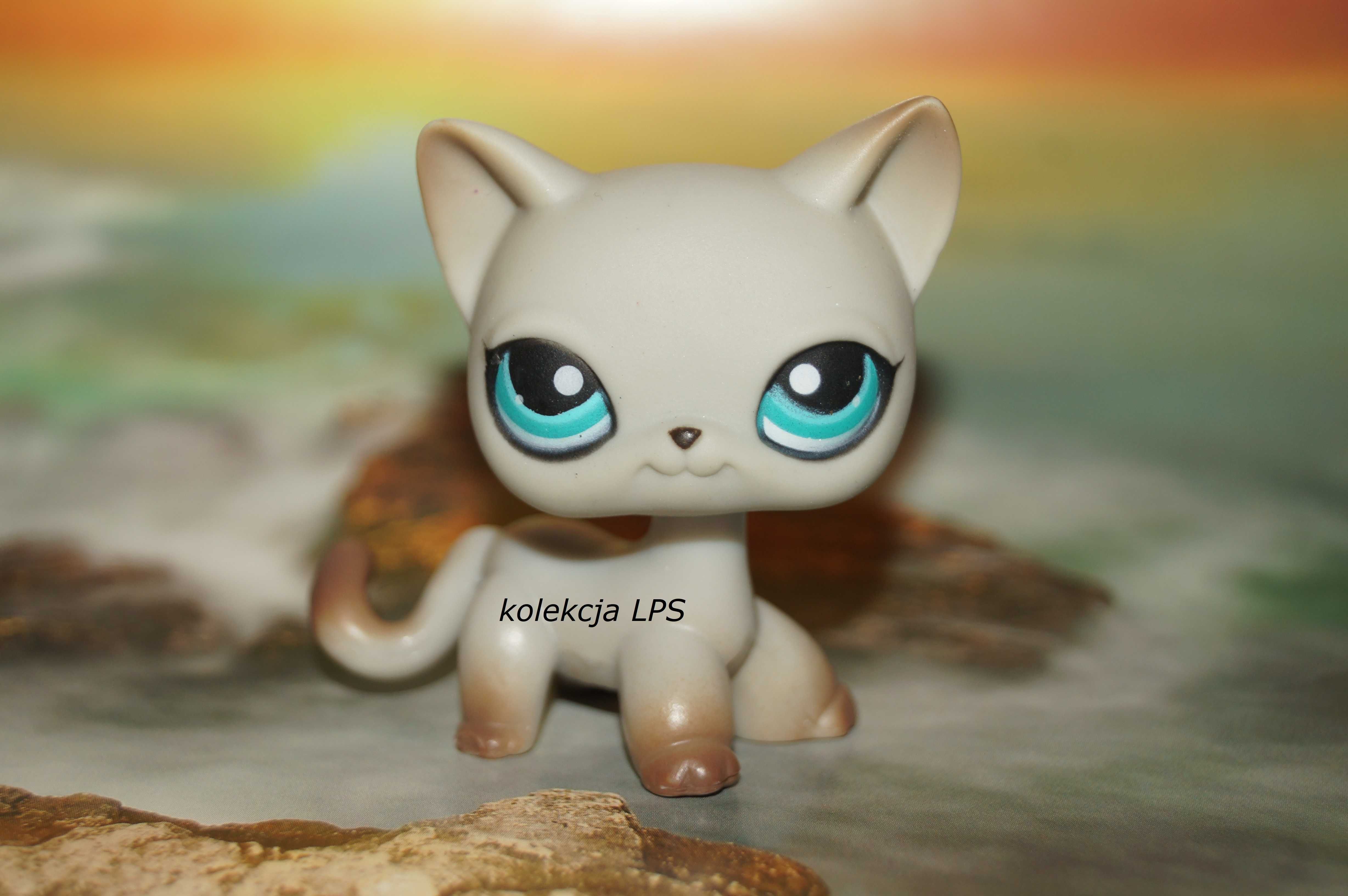 LPS Littlest Pet Shop shorthair egipski #391 oryginał POP oryginalny