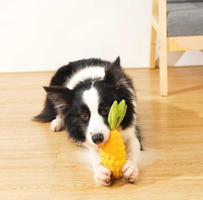 Acecy Zabawka dla psa piszczący ananas
