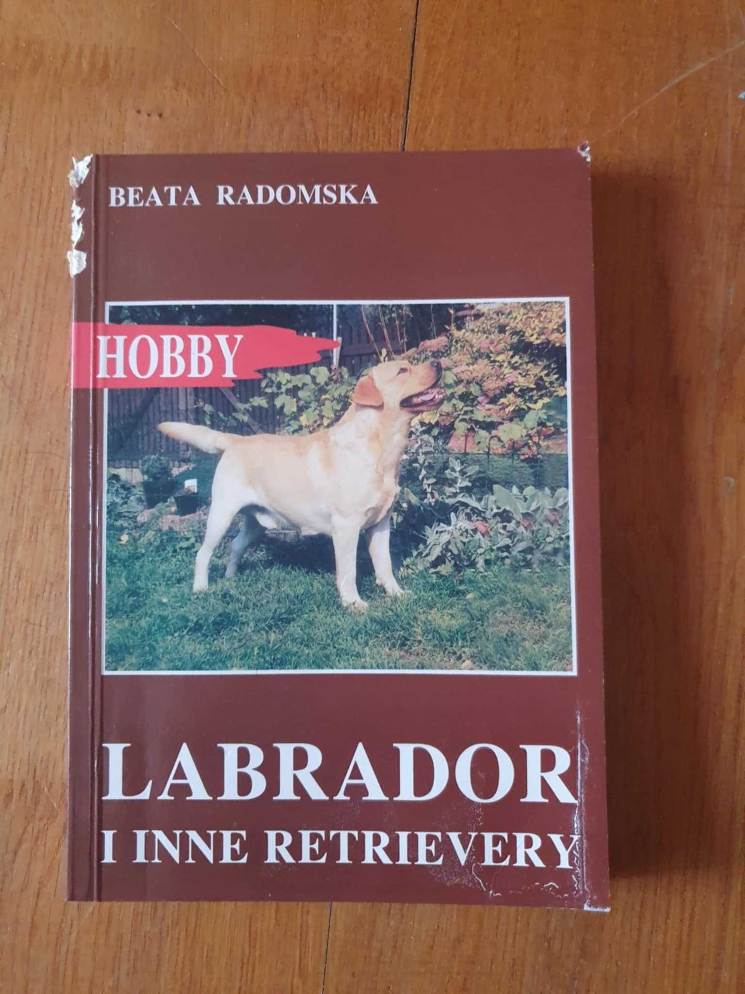 książki z zakresu hobby - labrador retriever, żółw ozdobny, szynszyle