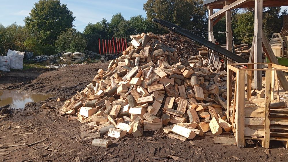 Rąbanie drewna zlecę - 100 m3