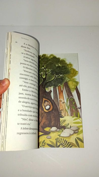 O Menino Estrela - Oscar Wilde