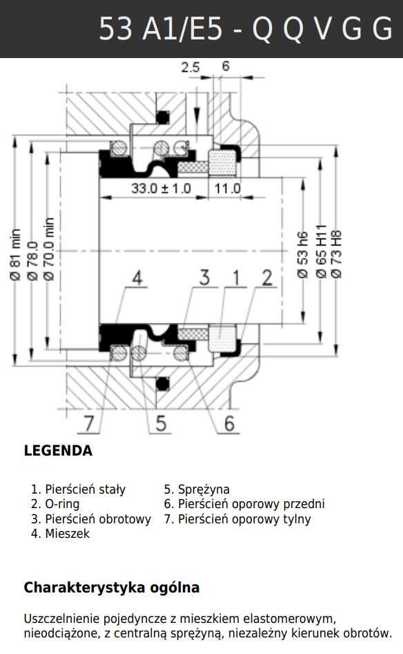 Uszczelnienie mechaniczne do pomp ANGA 53A1 /E5-Q Q V G G + podkładka