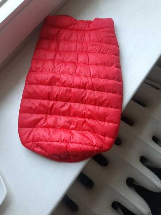 Kurteczka dla psiaka