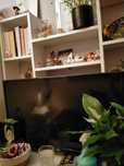 Telewizor tcl sprzedam