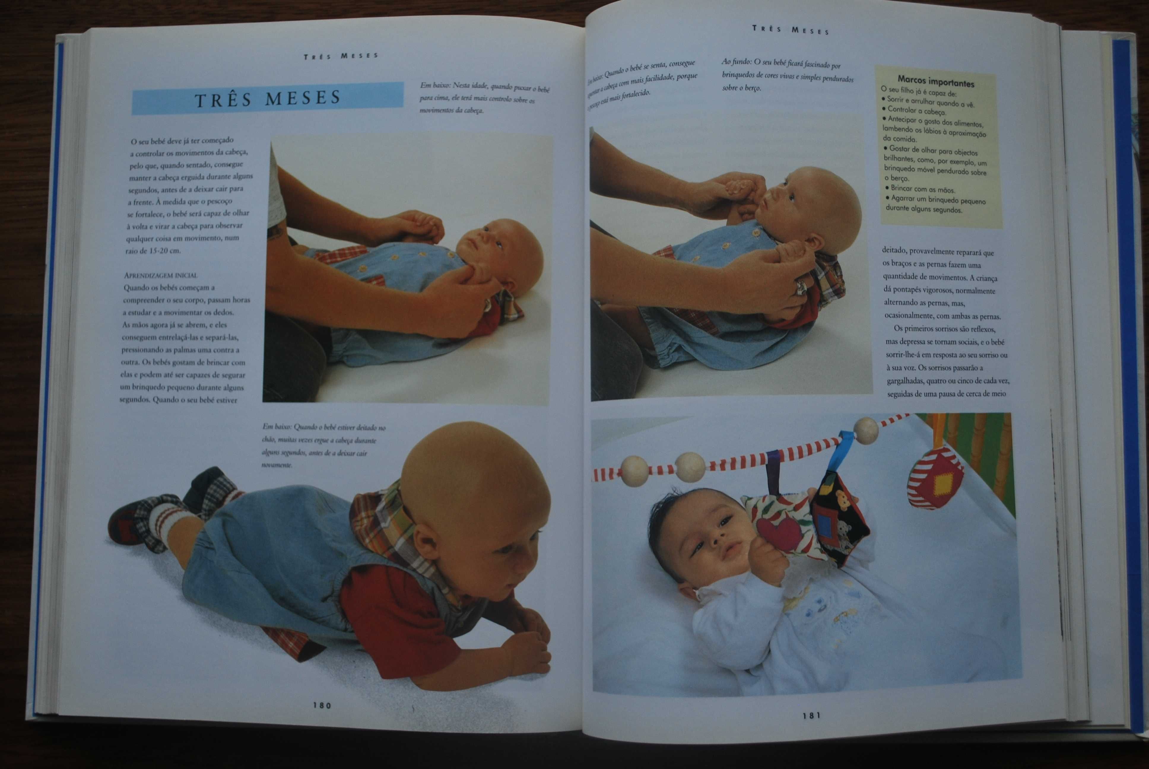 Manual Completo da Gravidez e do Bébé