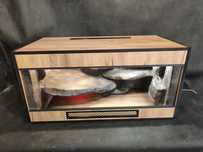 Terrarium 150x60x60 cm Agama Gekon Anolis wąż zbożowy heterodon