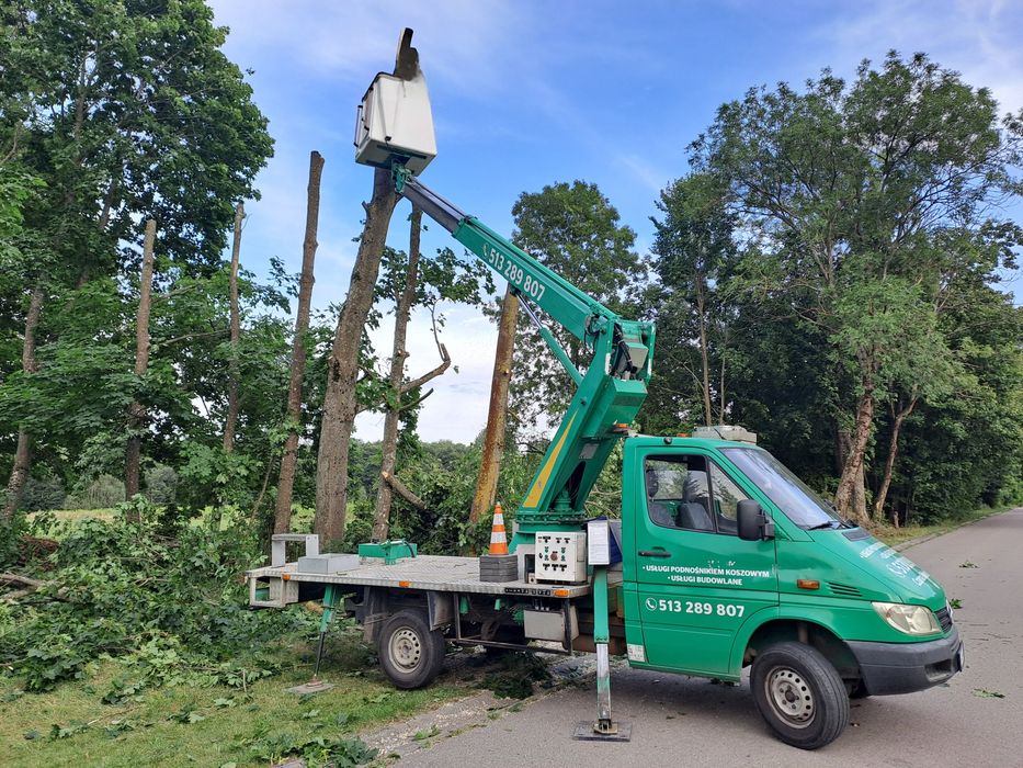 Wycinka drzew, podnośnik koszowy, zwyżka