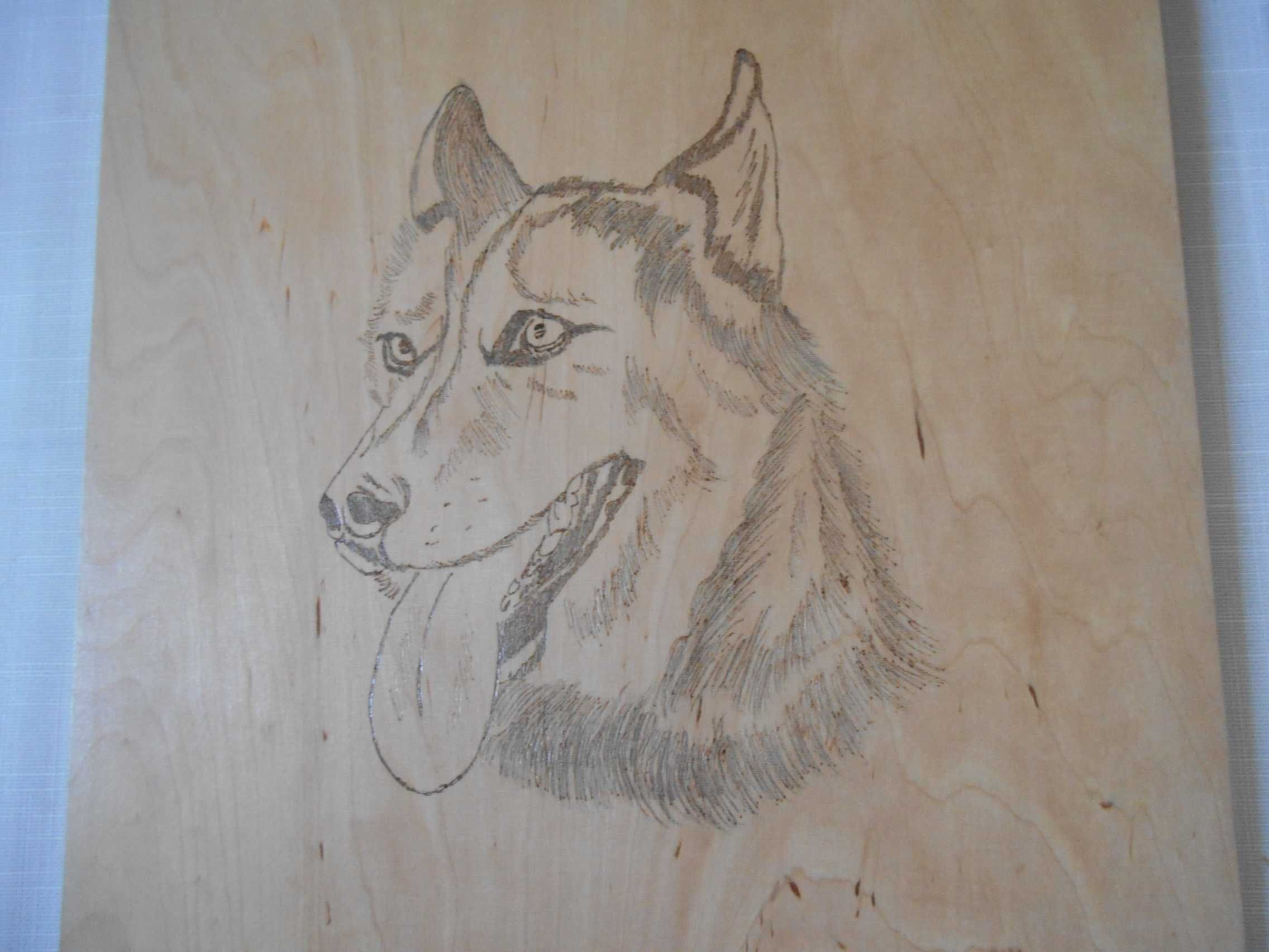 obraz portret owczarka niemieckiego, obraz pies Wilczur