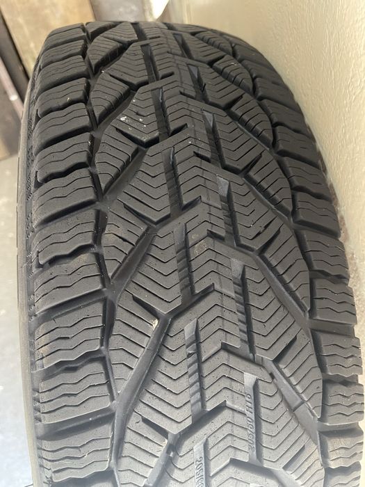 Шини зимові НОВІ Сербія R16 205/60