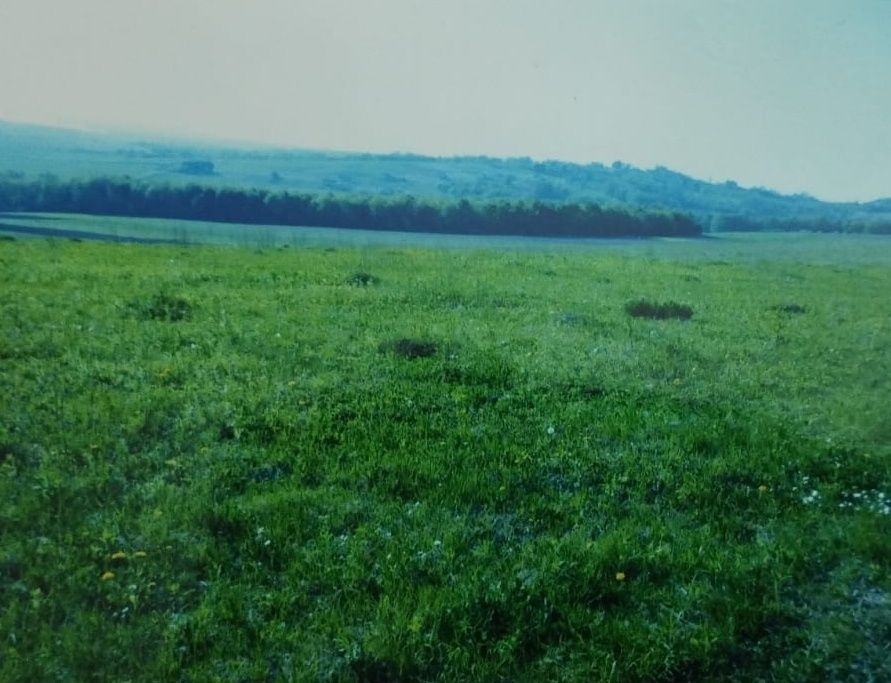 Продається приватизована земельна ділянка 17 сот.