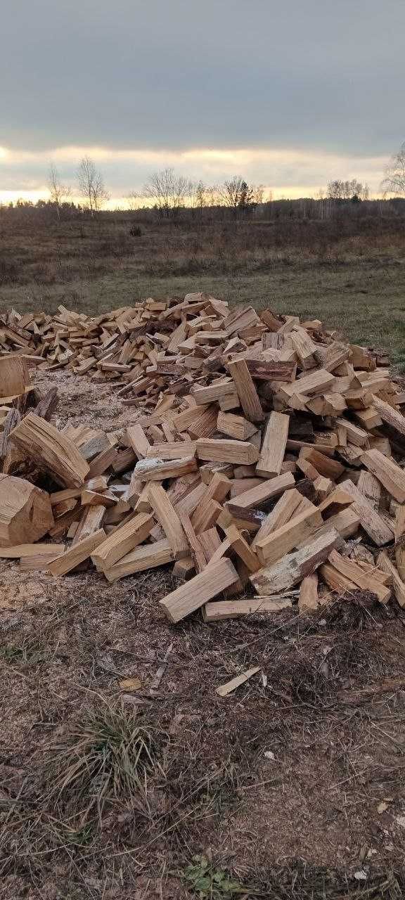 Продам дрова будь якої породи ціна договірна