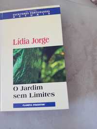 Conjunto de livros de autores portugueses