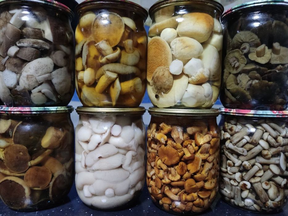Мариновані грибочки, смачний маринад, широкий асортимент різних видів