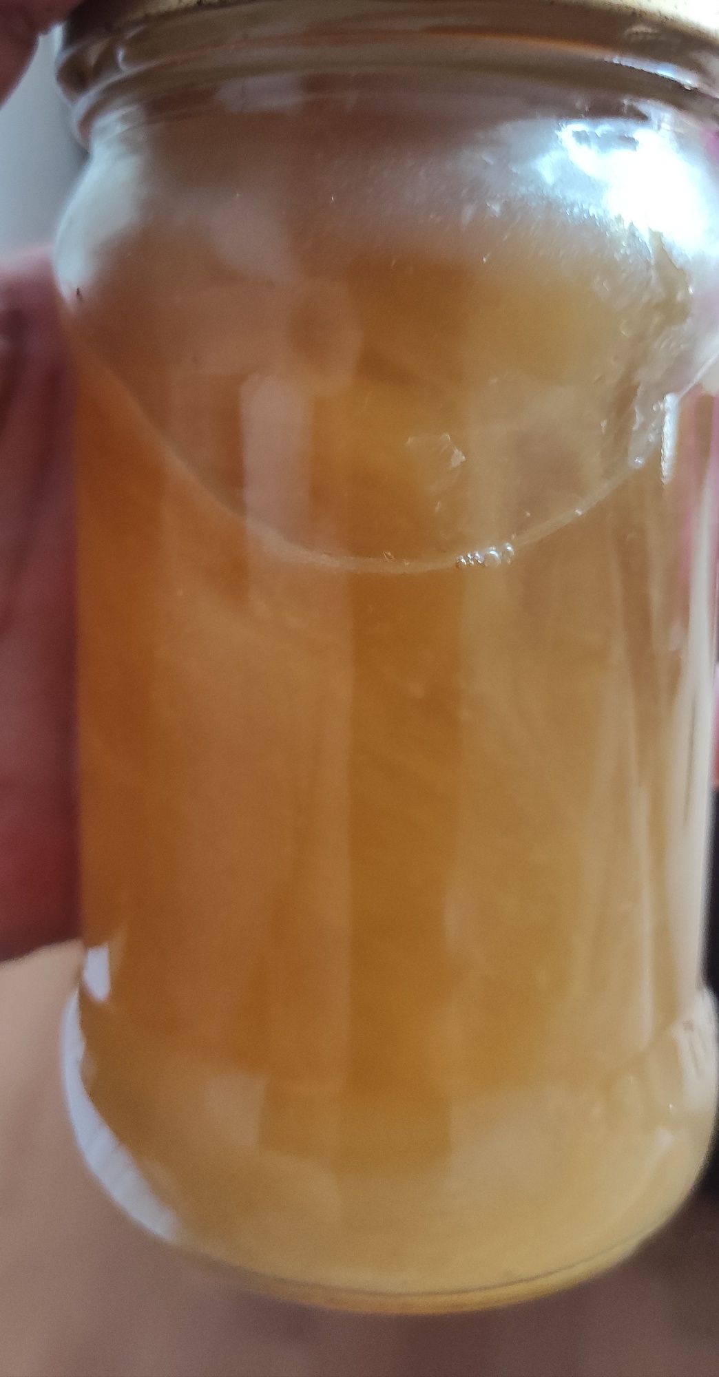 Syrop z kwiatów czarnego bzu z pomarańczą i cytryną.