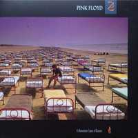 Виниловая пластинка Pink Floyd – A Momentary Lapse Of Reason