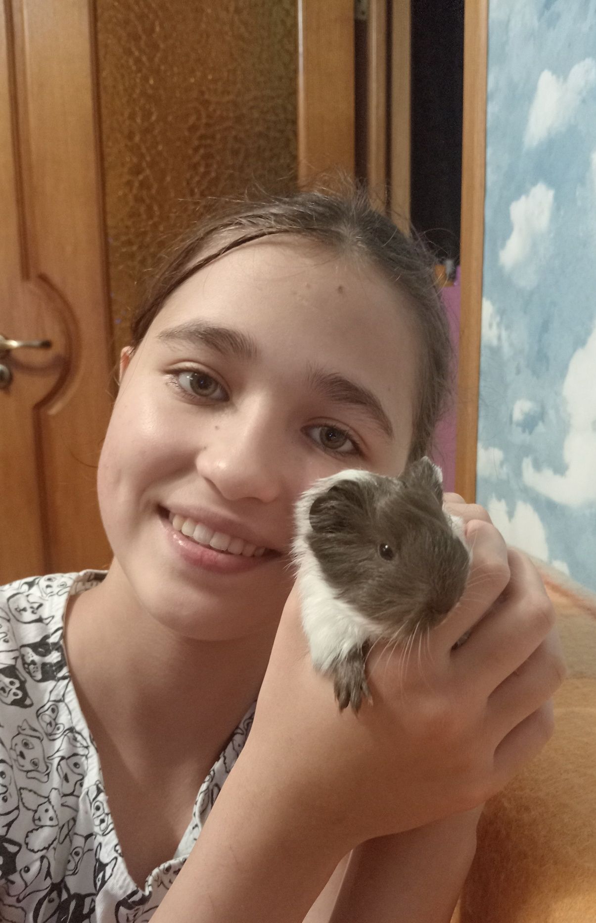 Морські свинки в добрі руки