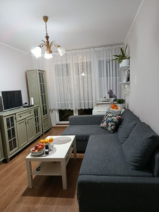 Mieszkanie do wynajęcia Centrum Obłuża